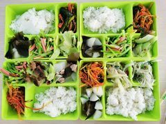 -广元曾家山国际滑雪场