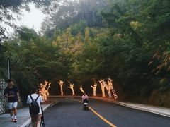 -千岛湖天屿景区