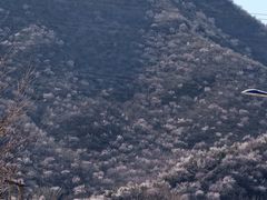 -妙峰山风景名胜区