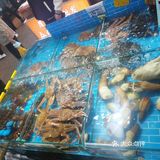 这是我0元探店的第9家。店很好找，在喧闹的八市里