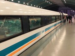 -龙阳路磁悬浮列车总站-停车场