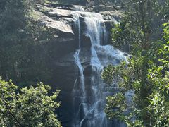 -海南热带雨林国家公园吊罗山景区