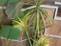 -湊湊火锅·茶憩(皇姑万象汇店)