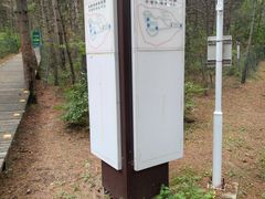 -帽儿山国家森林公园