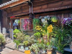 -龙姐私房菜(和顺古镇店)