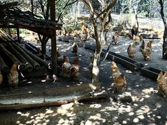 -第五季龙水凤港生态露营农场