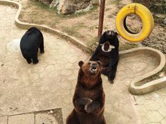 -无锡动物园·太湖欢乐园