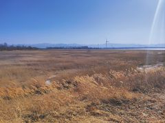 -野鸭湖国家湿地公园