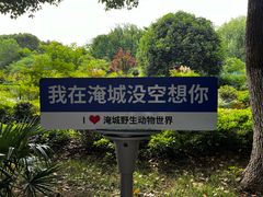 -常州淹城野生动物世界