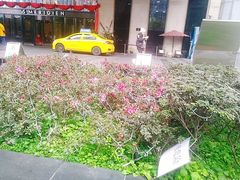 -重庆富力艾美酒店