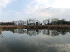 -西湖风景区-江洋畈生态公园