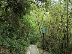 -广州市白云山风景名胜区