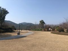 -径山花海