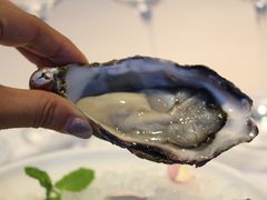 -Oyster Talks 四度蚝法餐厅