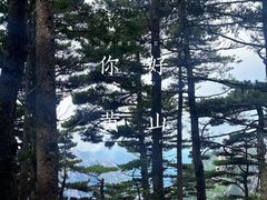 -黄山风景区