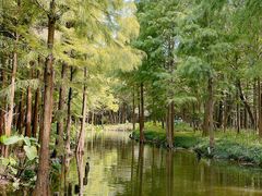-尚湖风景区