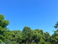 -春花秋色城市公园