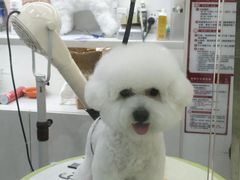 -它主义宠物(梁溪万达店)