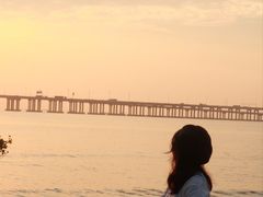 -宝安西湾红树林湿地公园