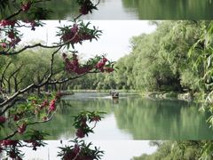 -颐和园