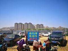 -灵山卫大集