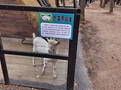 -关门山森林公园