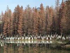 -艾溪湖湿地公园