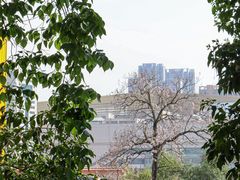-宝通禅寺