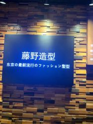 点击看大图 -藤野造型