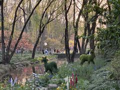 -上海共青森林公园