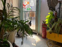 -小时光咖啡馆(北锣鼓巷店)