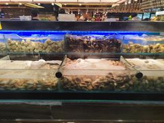 -苏格里岛自助烤肉海鲜火锅(成都金牛万达店)