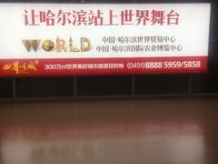 -哈尔滨太平国际机场