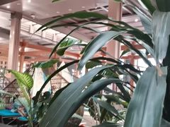 -弘安丽水温泉酒店