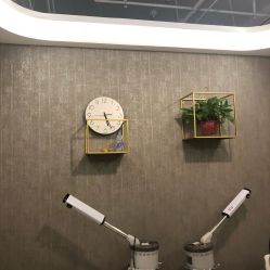 -Priscilla皮肤管理中心