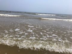 -日照海滨国家森林公园