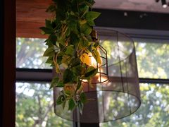 -花马天堂云南餐厅 Lost Heaven(外滩店)