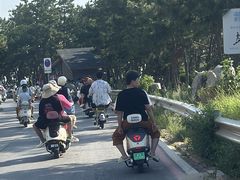 -养马岛旅游度假区
