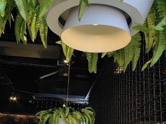 -天山醉美辣子鸡(文艺路店)