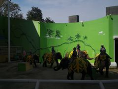 -大连森林动物园