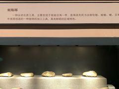 -广西壮族自治区博物馆