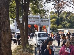 -东湖落雁景区