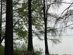 -东湖落雁景区