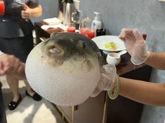 -鲐赏河豚(长寿店)