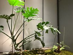 -望京辣宴·古法川菜(望京店)