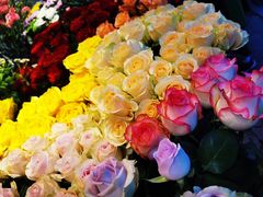 -爱尚幸福鲜花(上地实体店)