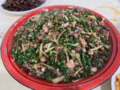 -东吴霸王兔(松青路店)
