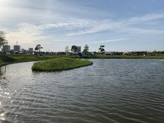 -春花秋色城市公园