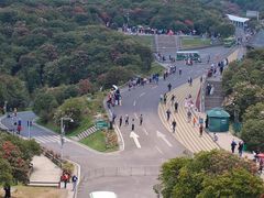 -贵州百里杜鹃风景名胜区