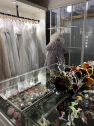 -七色田儿童摄影(静安店)